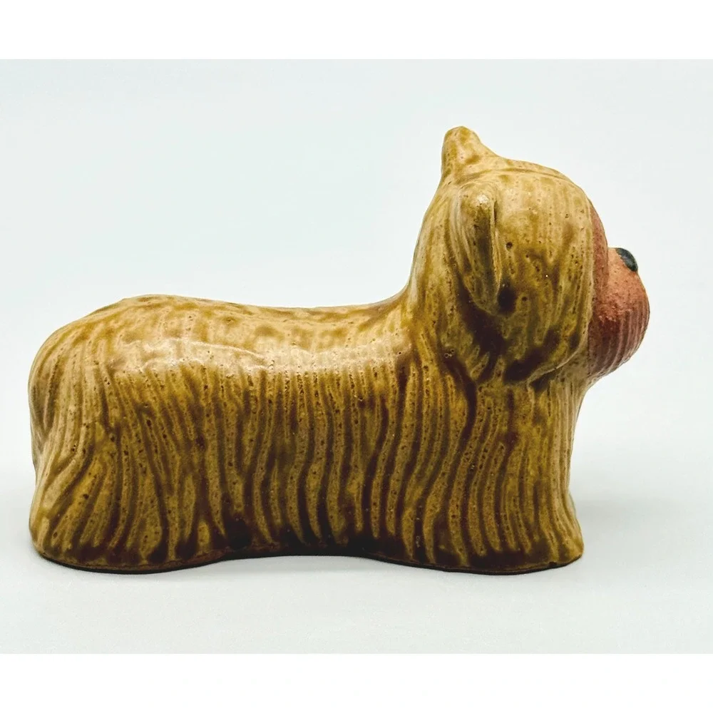Toscany yorkie terrier